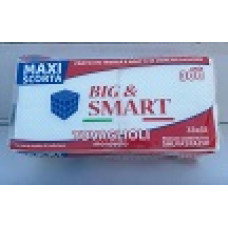 TOVAGLIOLI-SERIE-300-BIG-SMART-